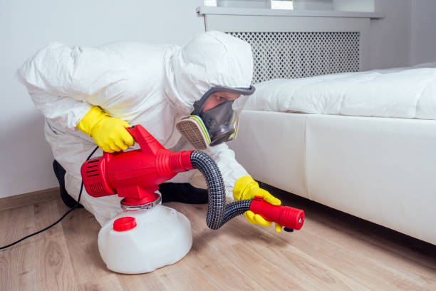 Best Fumigation Services  in Goulds, FL